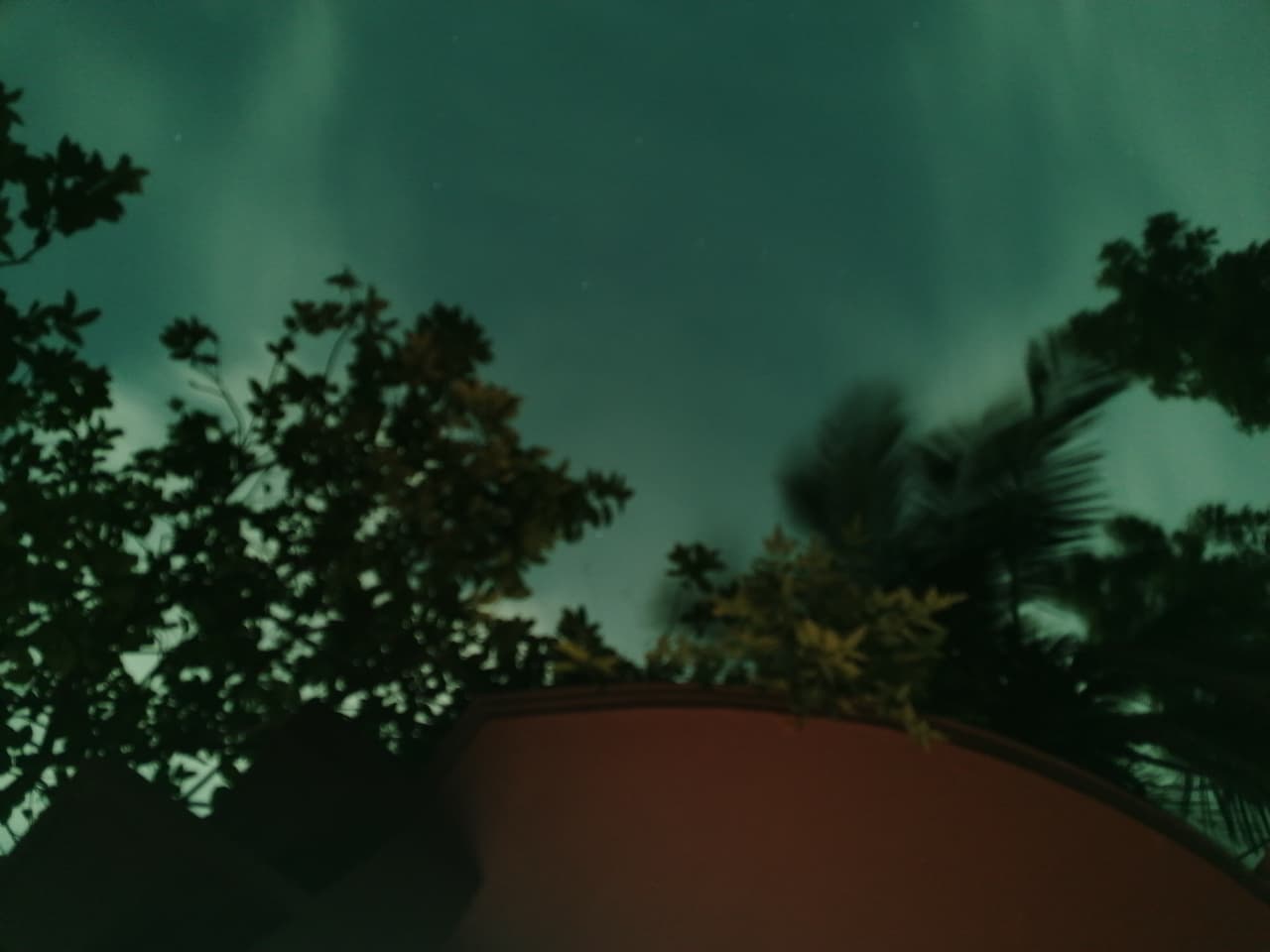 Trees Under a Green Sky